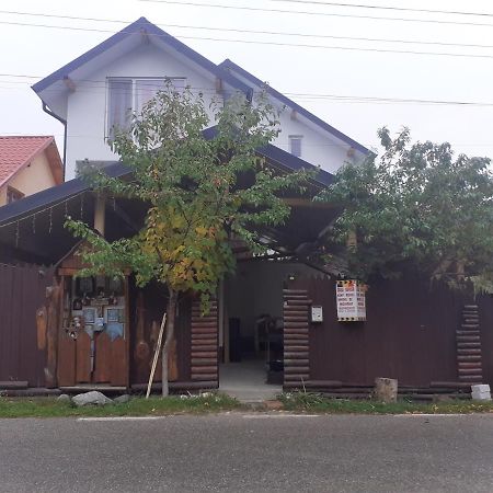 Hotel Casa Denisa Vidraru Transfgarasan Căpăţîneni-Ungureni Exterior foto