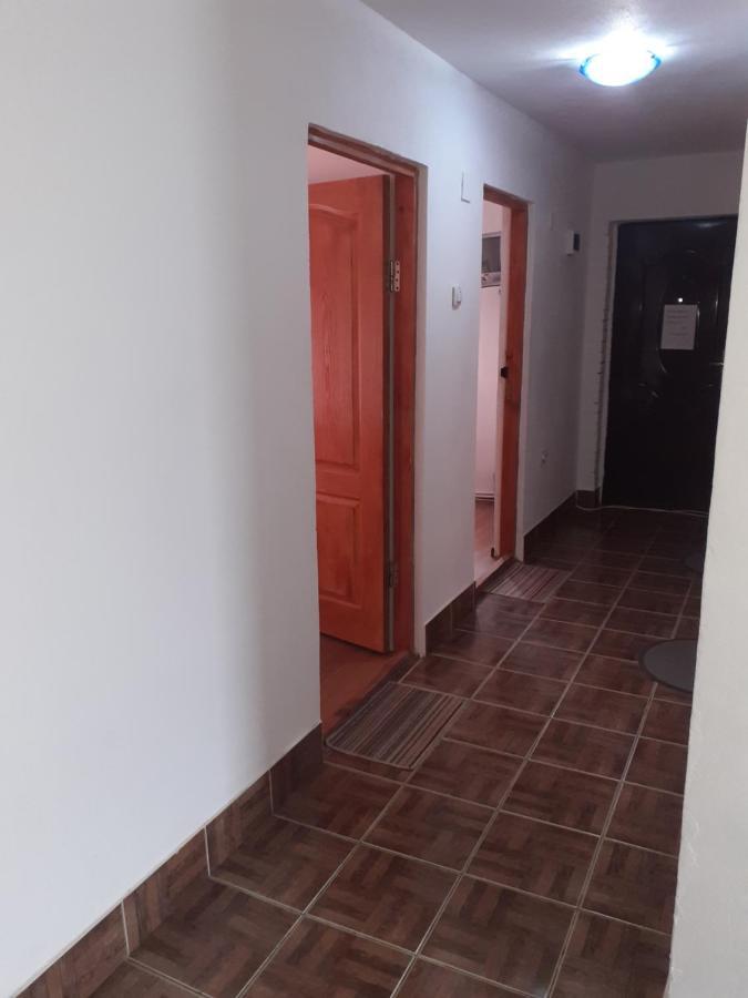 Hotel Casa Denisa Vidraru Transfgarasan Căpăţîneni-Ungureni Exterior foto