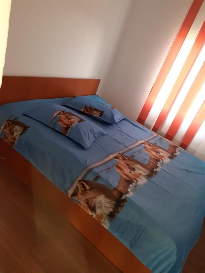 Hotel Casa Denisa Vidraru Transfgarasan Căpăţîneni-Ungureni Exterior foto