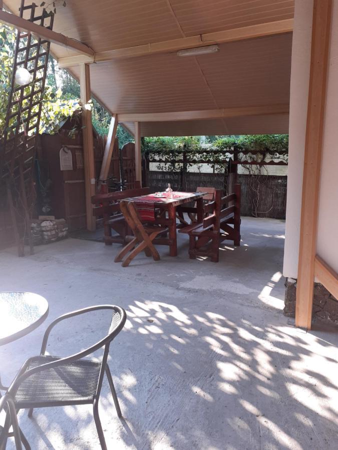 Hotel Casa Denisa Vidraru Transfgarasan Căpăţîneni-Ungureni Exterior foto